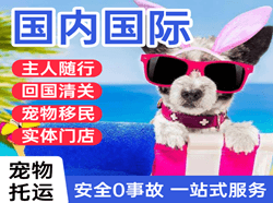 台州路桥机场托运国际宠物托运 【国